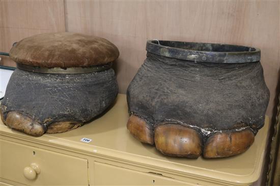 Two elephant feet stools, W.40cm approximately
